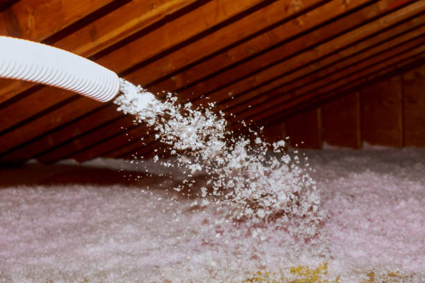 Best Commercial Insulation in University, MS