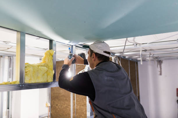 Best Cellulose Insulation in University, MS