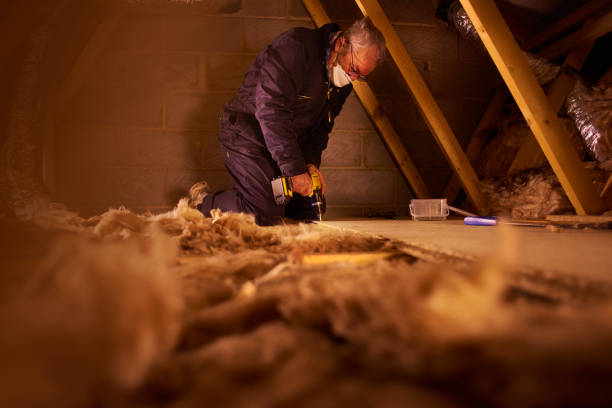 Best DIY Insulation Kits and Guidance in University, MS
